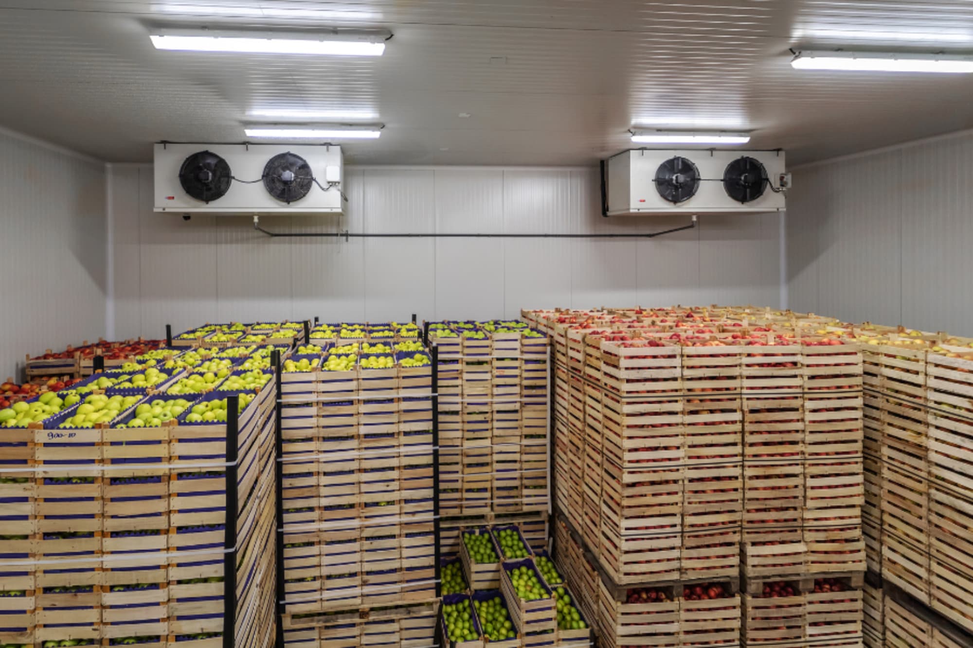 Quy Trình Thi Công Sơn Sàn PU Cho Kho Lạnh Đúng Chuẩn